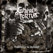 CHAMBER OF TORTURE - Phantasms Of Bedlamite ECODIGIPAK