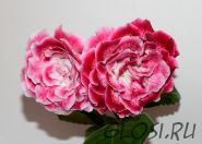 ЕН-Назови Меня Любимой (сел.Е.Николаева) Новинка 2024!