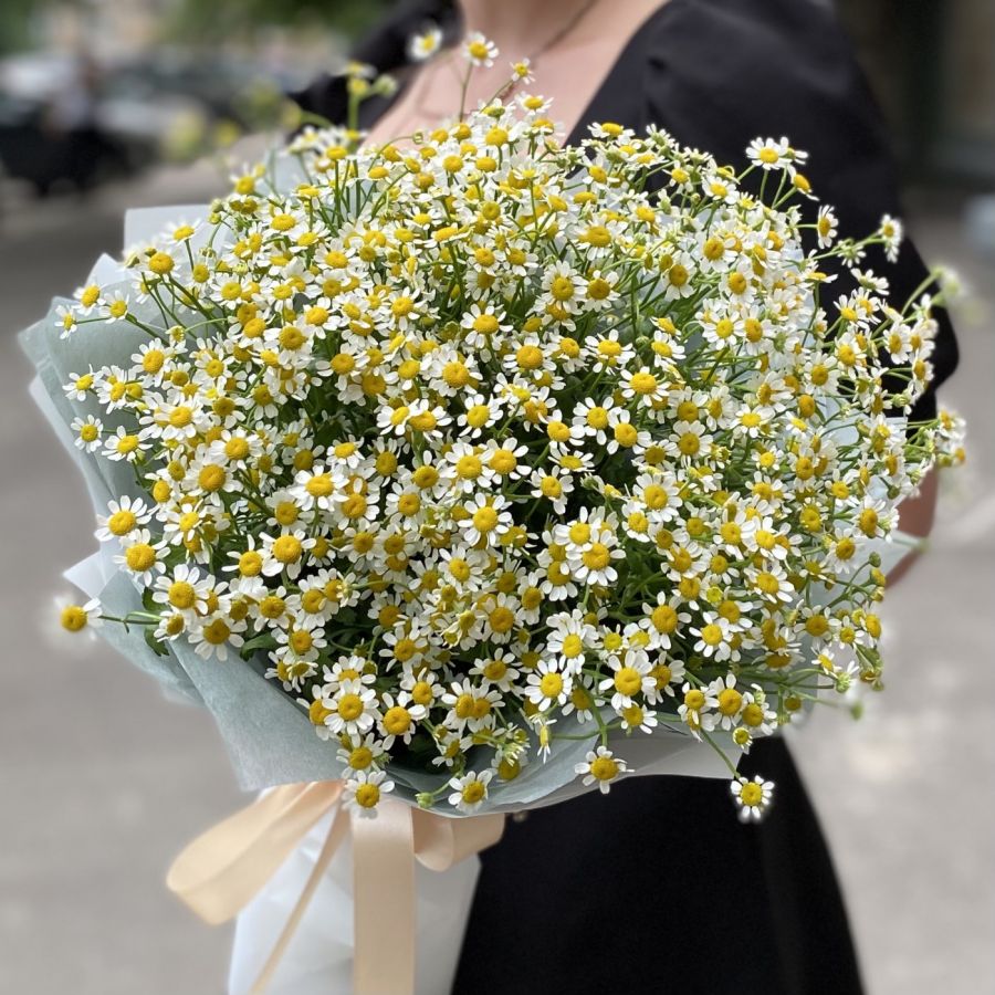 Очаровательные ромашки в букете