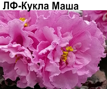 ЛФ-Кукла Маша (Федосеева)  НОВИНКА КАТАЛОГА!