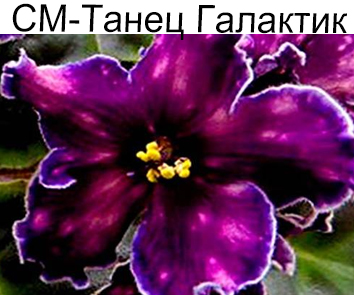 СМ-Танец Галактик