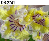 DS-2741 (Диметрис)  НОВИНКА КАТАЛОГА!