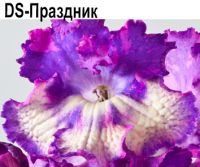 DS-Праздник (Диметрис)