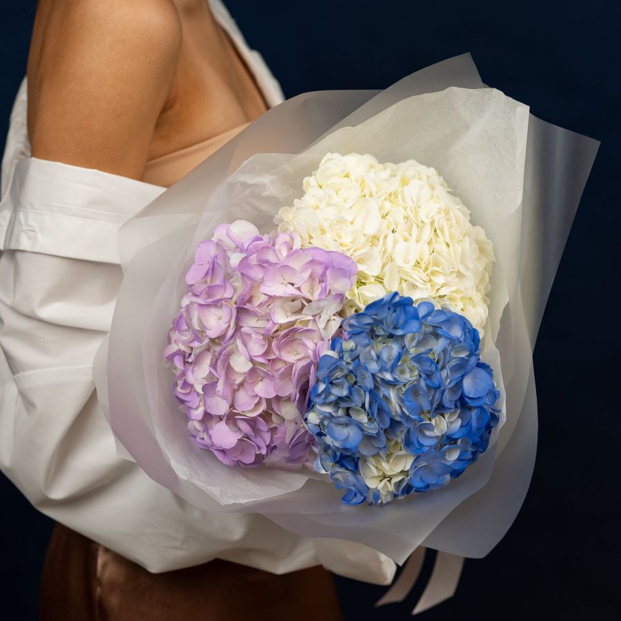 Гортензия микс от 3 шт