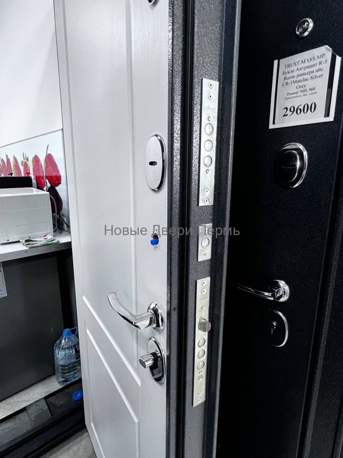 Входная дверь TRUST MASS MP Графит букле R-4 / Ларче белый 9SD-1