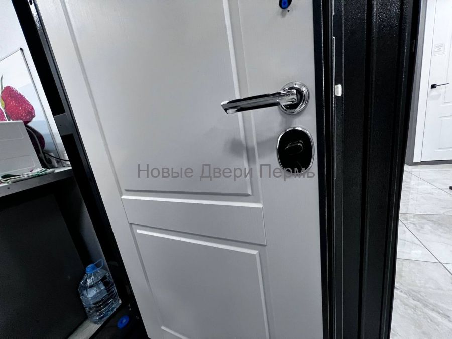 Входная дверь TRUST MASS MP Графит букле R-4 / Ларче белый 9SD-1