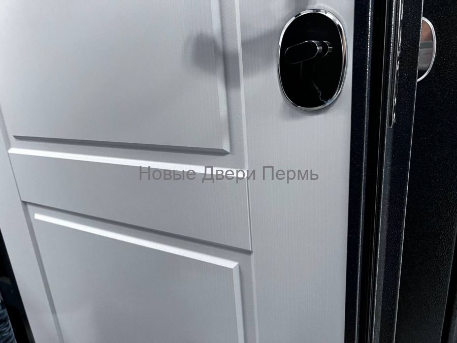 Входная дверь TRUST MASS MP Графит букле R-4 / Ларче белый 9SD-1