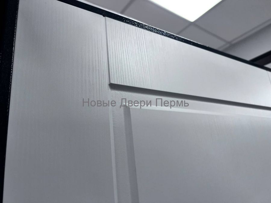 Входная дверь TRUST MASS MP Графит букле R-4 / Ларче белый 9SD-1