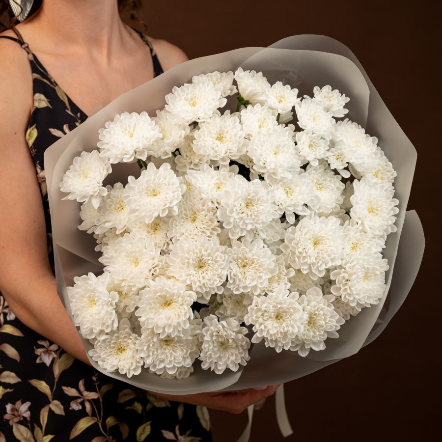 Хризантема (сорт Алтай) 9 шт