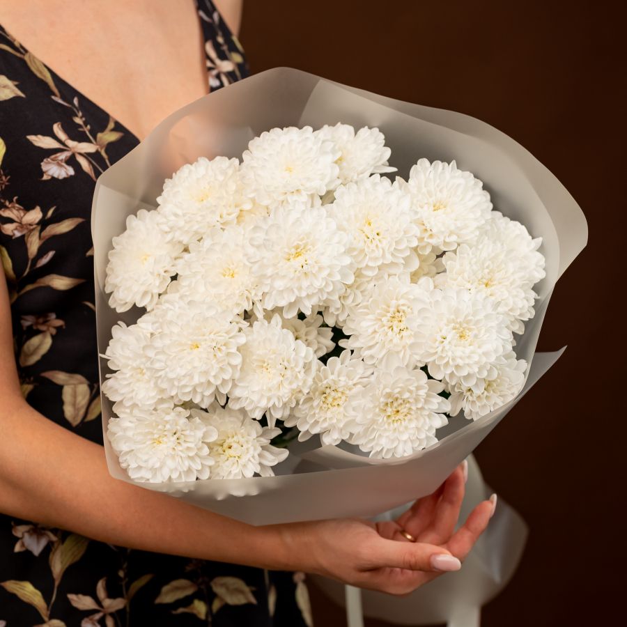 Хризантема (сорт Алтай) 5 шт