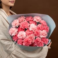 25 розовых диантусов