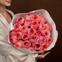 25 пинк экспрешн