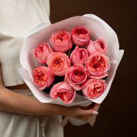 11 пинк экспрешн