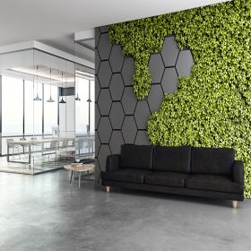 Стеновые панели с озеленением в офис