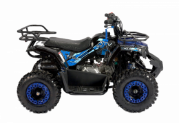 Детский квадроцикл Avantis ATV Classic mini 4T