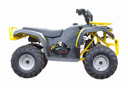 Квадроцикл IRBIS ATV125 2024