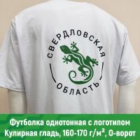 Футболки для мероприятий пошив и печать лого