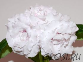 ЕН-Дом Восходящего Солнца (сел.Е.Николаева) Новинка 2024!