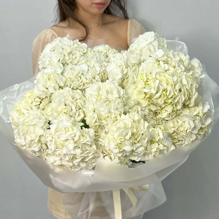 15 Гортензий