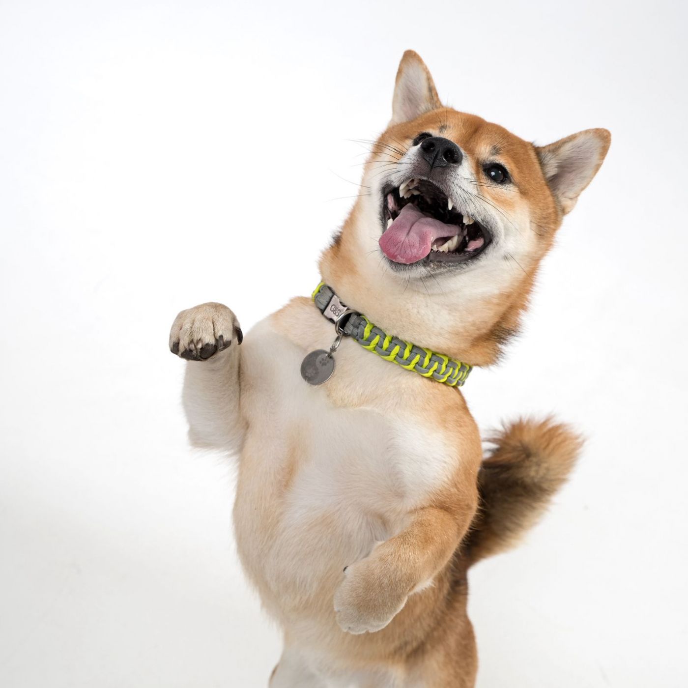 Консультация