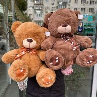 Мягкая игрушка "Медвежонок"