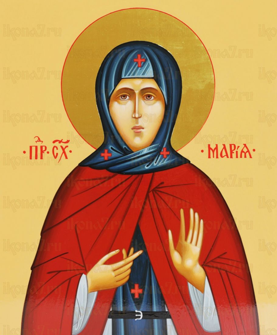 Икона Мария Радонежская Преподобная (UV-печать)(10431)