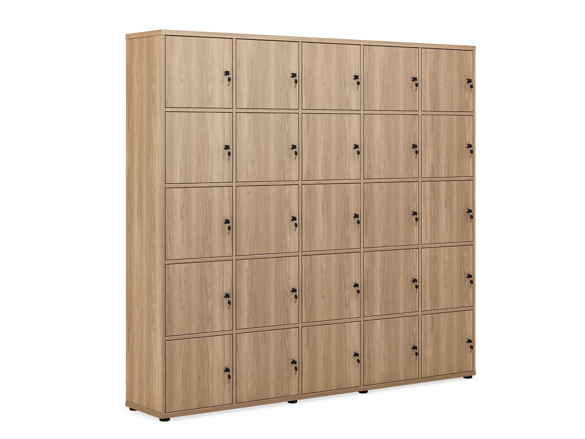 Локер на 25 ячеек (5х5 дверей)