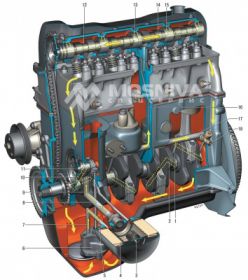 Проверка Масляных Каналов на Автомобиле Варшавское шоссе 170Бс7