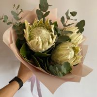 Белая королева