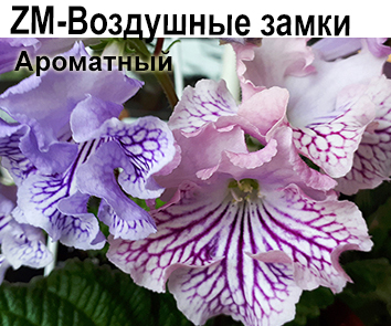 ZM-Воздушные Замки (З.Метлушко) ароматный хамелеон  НОВИНКА КАТАЛОГА!