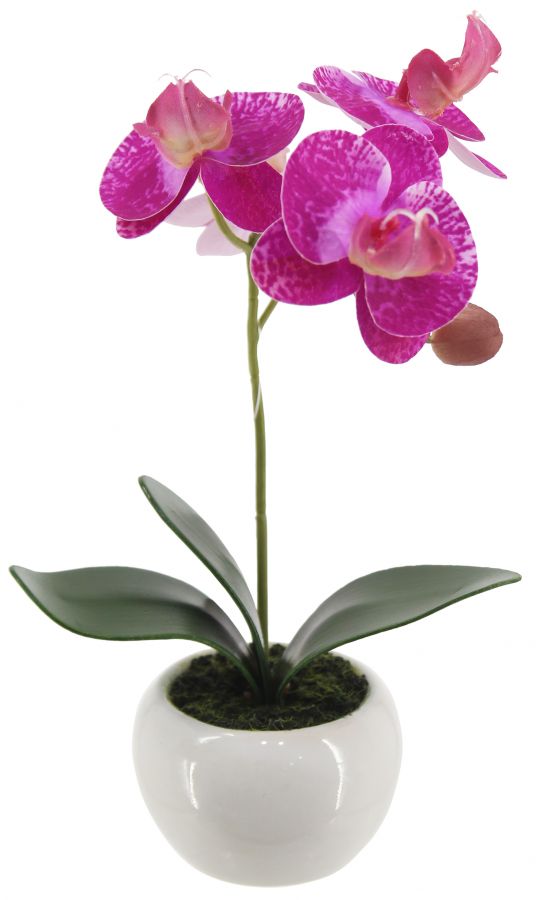 Искусственная орхидея в керамическом горшке, высота 20 см, цвет темная фуксия, количество соцветий 1