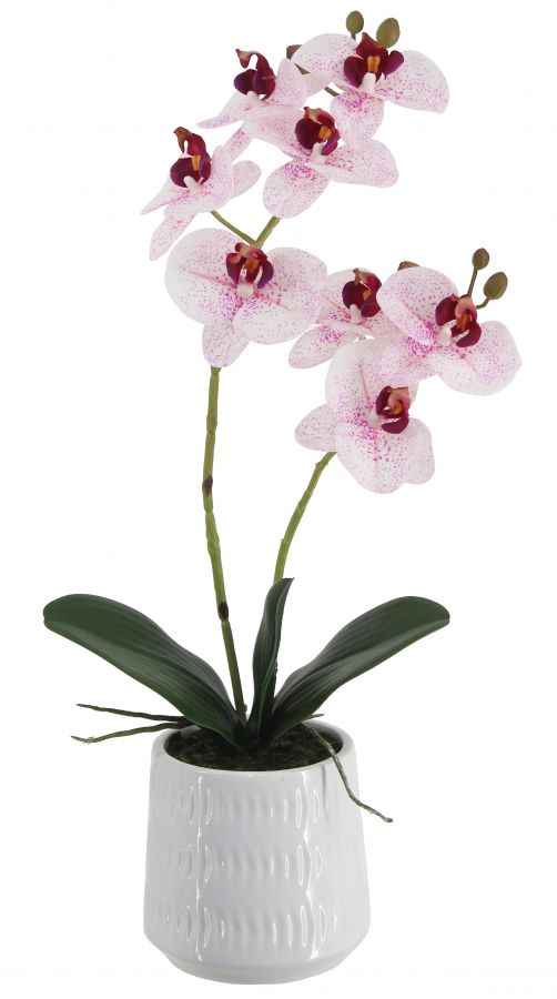 Искусственная орхидея в керамическом горшке, высота 51 см, цвет фуксия-белый, количество соцветий 2