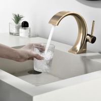 смеситель на раковину Black&White GF-7106-BG