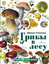 Грибы в лесу Грибы в лесу