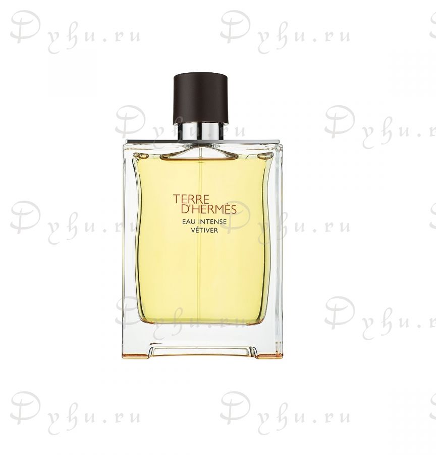 Hermes Terre d'Hermes Eau Intense Vetiver