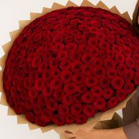 Букет из 303 розы