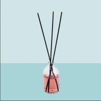 Флаконы 100 мл для диффузоров,светлое стекло 3-го класса, круглый скат, 63 шт, G20, гладкое горло, с резиновыми пробками, Labdevices