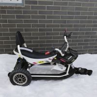 Электроснегокат SnowScooter PRO 2х350