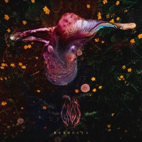 GNOT - Вечность