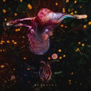 GNOT - Вечность