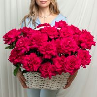 25 Французская роза (Пинк Флойд) в корзине размер L (40/37)