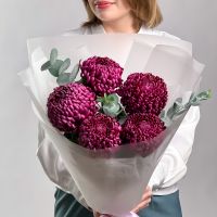 Хризантемы "Бигуди"