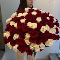 101  роза Эквадор микс/оформление под ленту