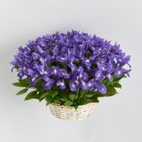 Корзина "Синий бриз"