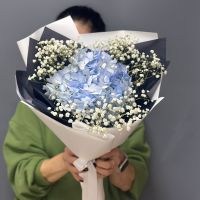 Букет "Нежность"/гортензия/гипсофила