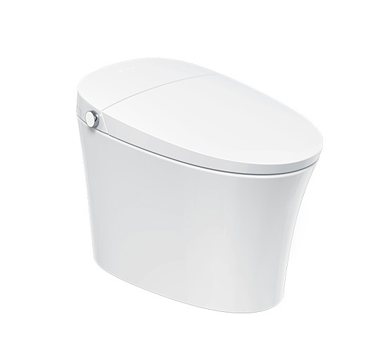 Умный туалет ZN-112