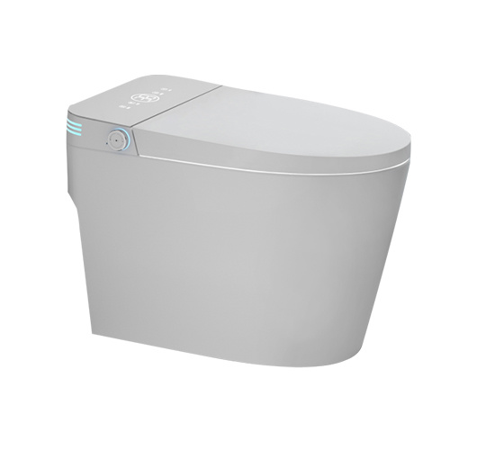 Умный туалет ZN-111