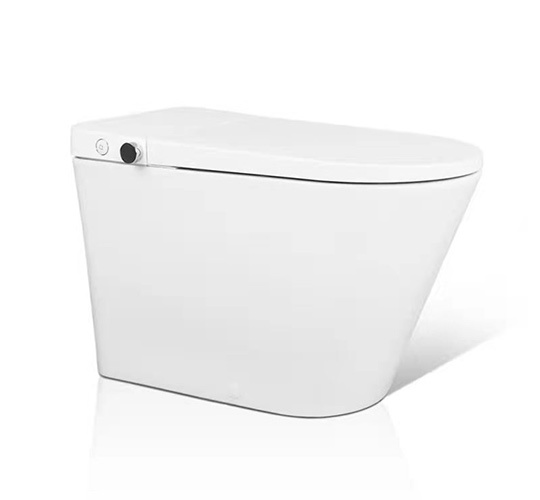 Умный туалет ZN-108