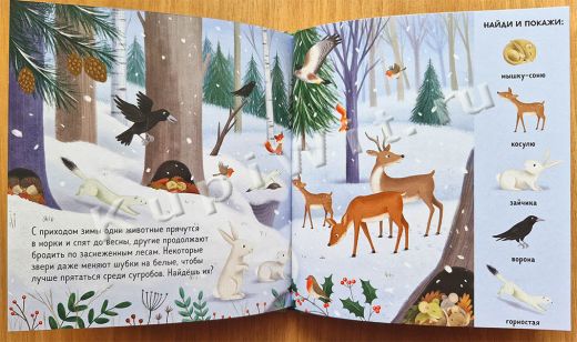 Игра - найти животных в лесу