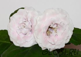 ЕН-Любовь Моя Нежная (сел.Е.Николаева) Новинка 2024!